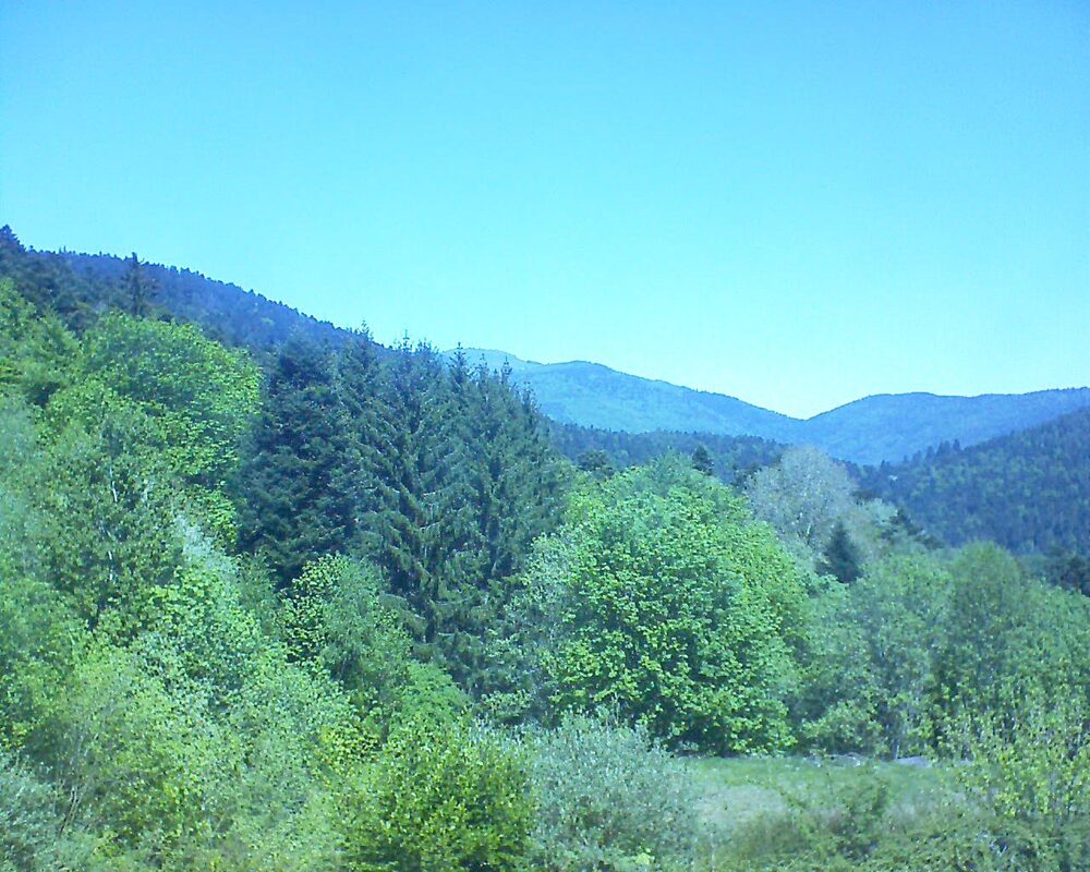 Le petit ballon (Alsace, Vosges) le 01.05.2026 à 12:45