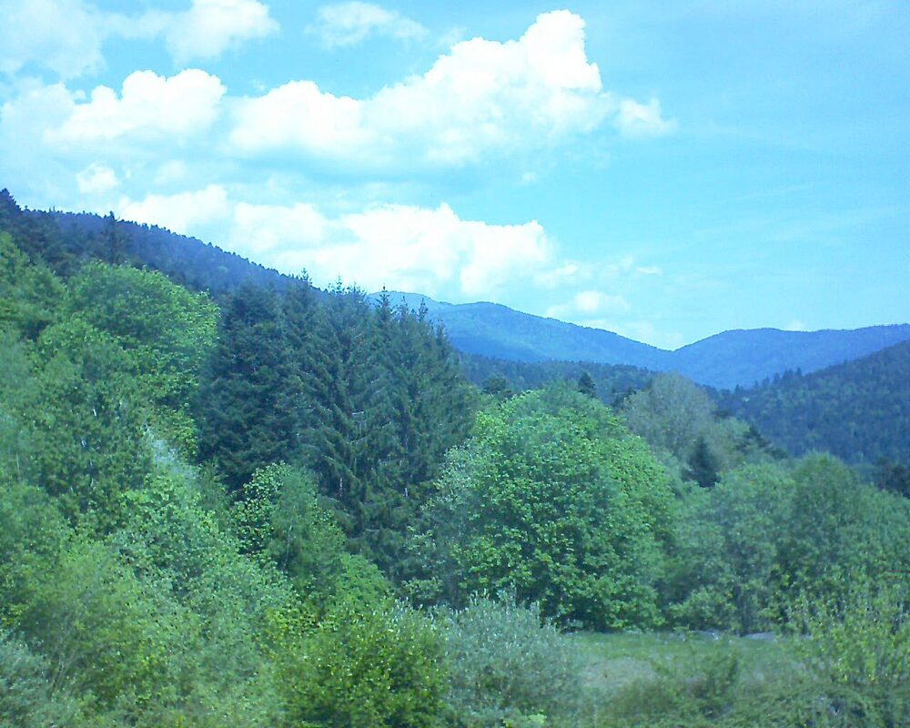 Le petit ballon (Alsace, Vosges) le 02.05.2026 à 12:30