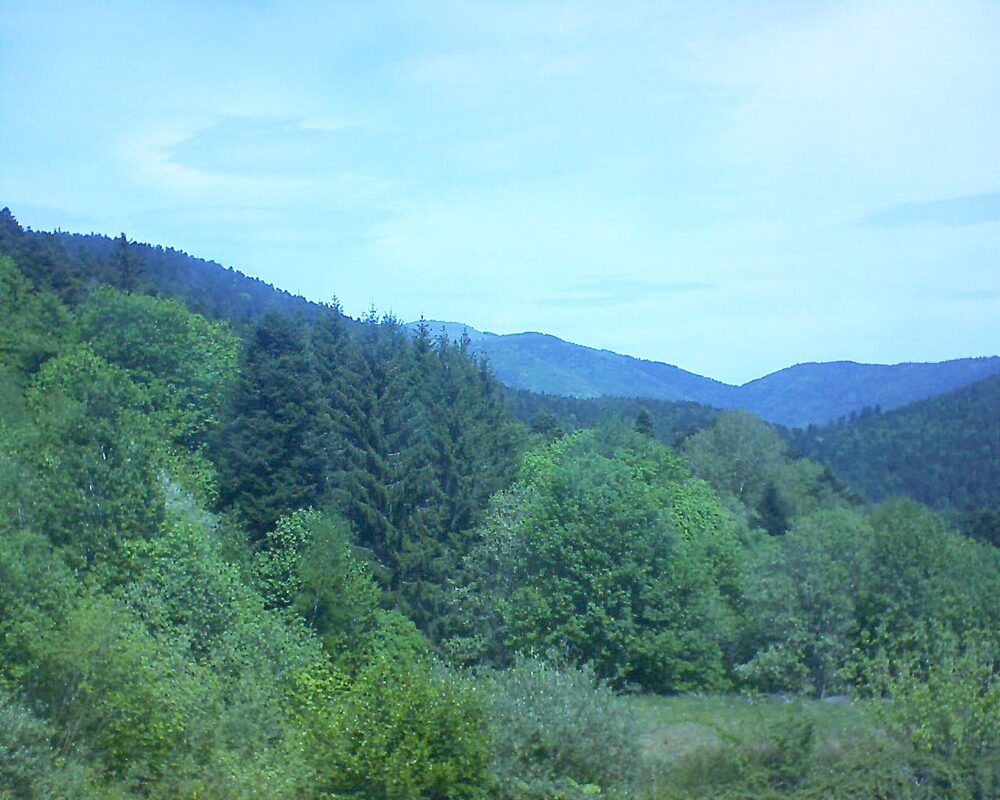Le petit ballon (Alsace, Vosges) le 03.05.2026 à 12:45