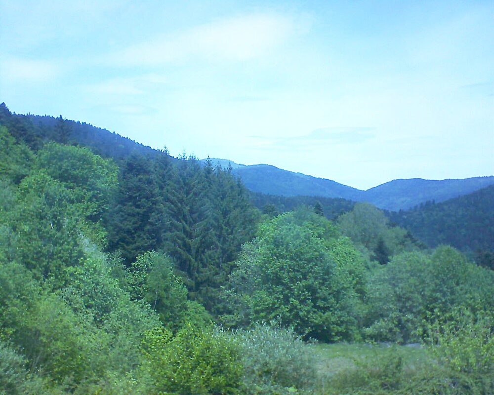 Le petit ballon vu depuis le Domaine Langmatt à Murbach le 03.05.2026 à 13:15 Le petit ballon (Alsace, Vosges) le 03.05.2026 à 13:15