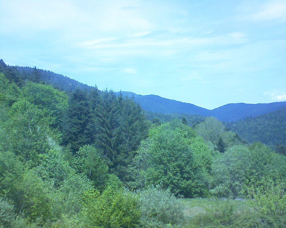 Le petit ballon (Alsace, Vosges) le 03.05.2026 à 13:45