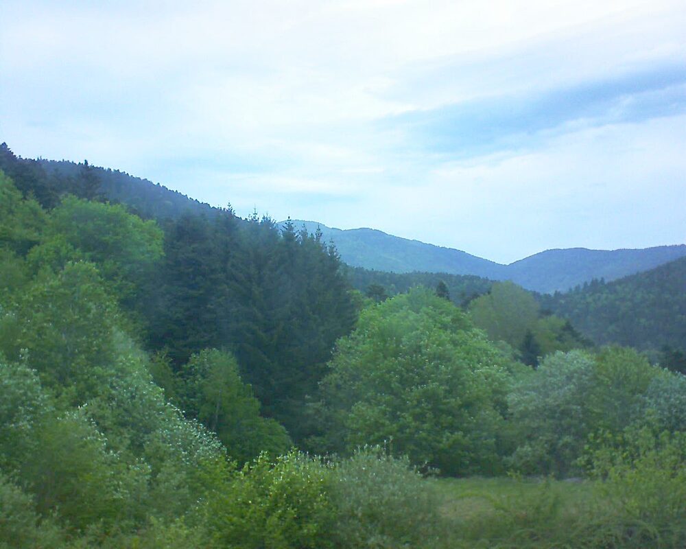 Le petit ballon (Alsace, Vosges) le 03.05.2026 à 16:15