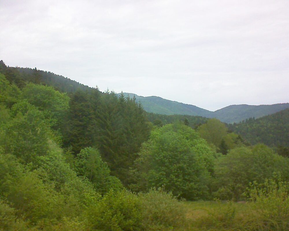 Le petit ballon (Alsace, Vosges) le 04.05.2026 à 12:30