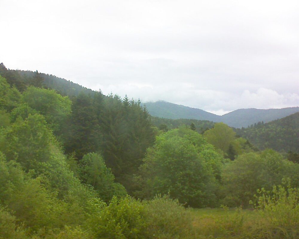 Le petit ballon vu depuis le Domaine Langmatt à Murbach le 05.05.2026 à 10:45 Le petit ballon (Alsace, Vosges) le 05.05.2026 à 10:45