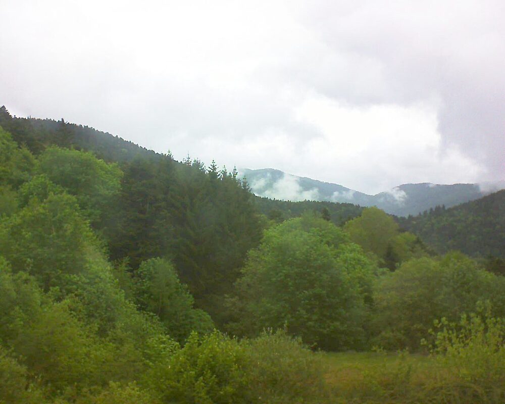 Le petit ballon (Alsace, Vosges) le 05.05.2026 à 11:45