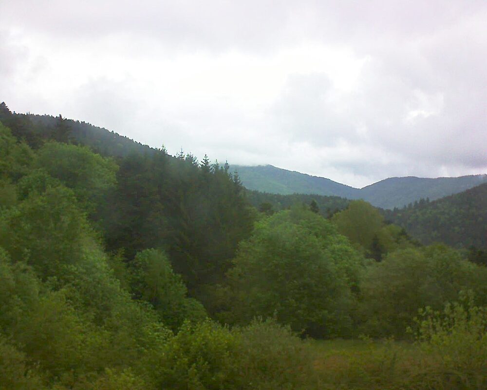 Le petit ballon (Alsace, Vosges) le 05.05.2026 à 12:30