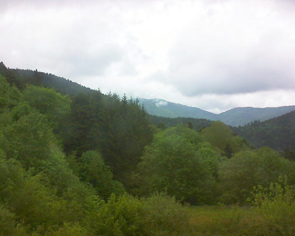 Le petit ballon (Alsace, Vosges) le 05.05.2026 à 13:45