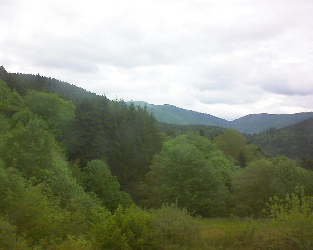 Le petit ballon (Alsace, Vosges) le 06.05.2026 à 10:45