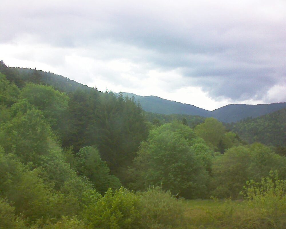 Le petit ballon (Alsace, Vosges) le 06.05.2026 à 12:45