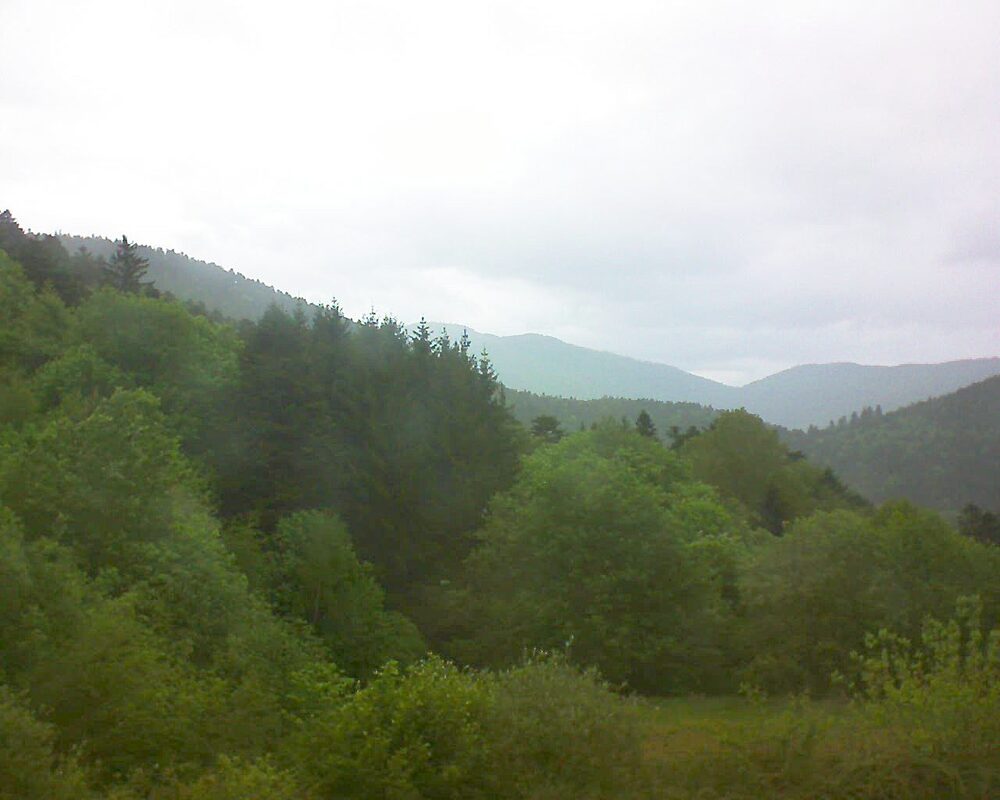 Le petit ballon (Alsace, Vosges) le 06.05.2026 à 13:30
