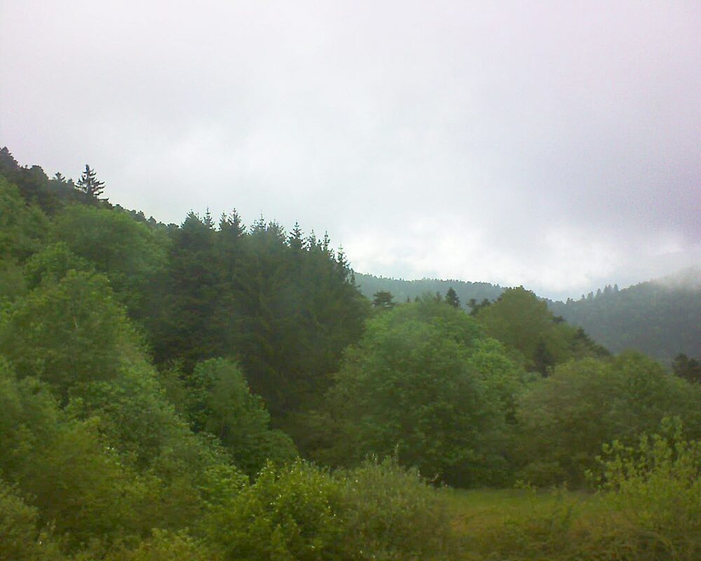 Le petit ballon (Alsace, Vosges) le 07.05.2026 à 12:30