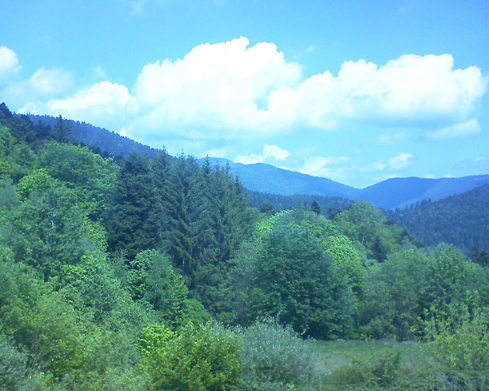 Le petit ballon (Alsace, Vosges) le 08.05.2026 à 12:30
