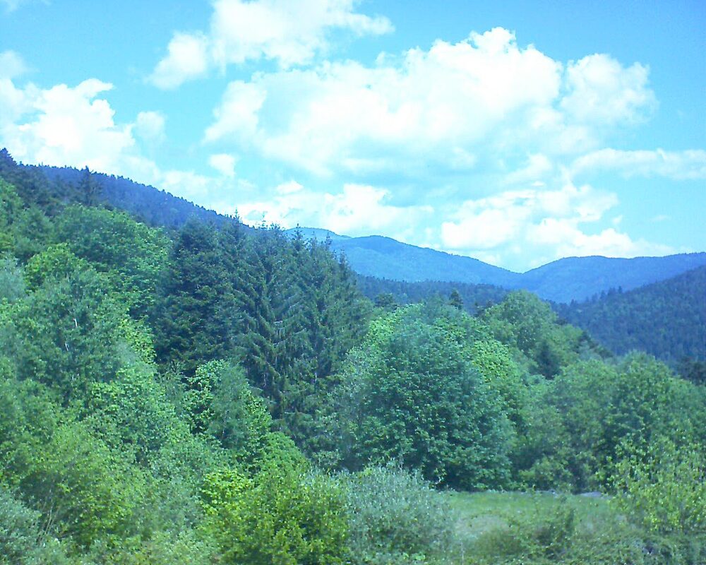 Le petit ballon (Alsace, Vosges) le 09.05.2026 à 12:15