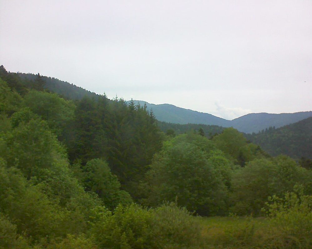 Le petit ballon vu depuis le Domaine Langmatt à Murbach le 10.05.2026 à 12:30 Le petit ballon (Alsace, Vosges) le 10.05.2026 à 12:30
