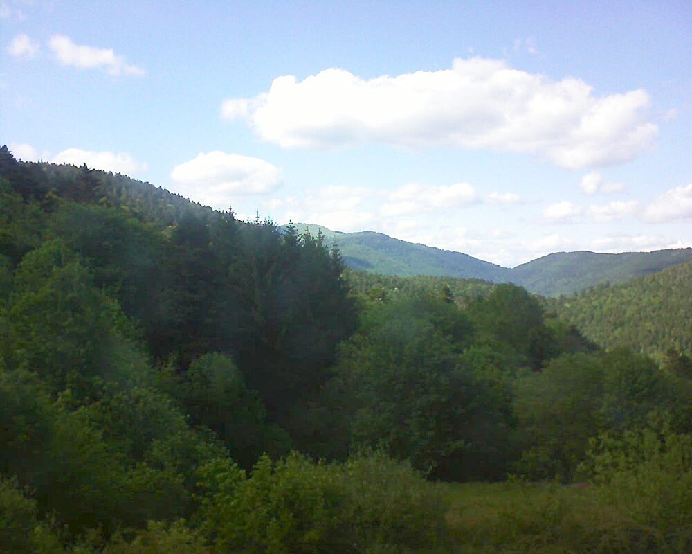 Le petit ballon (Alsace, Vosges) le 12.05.2026 à 16:30