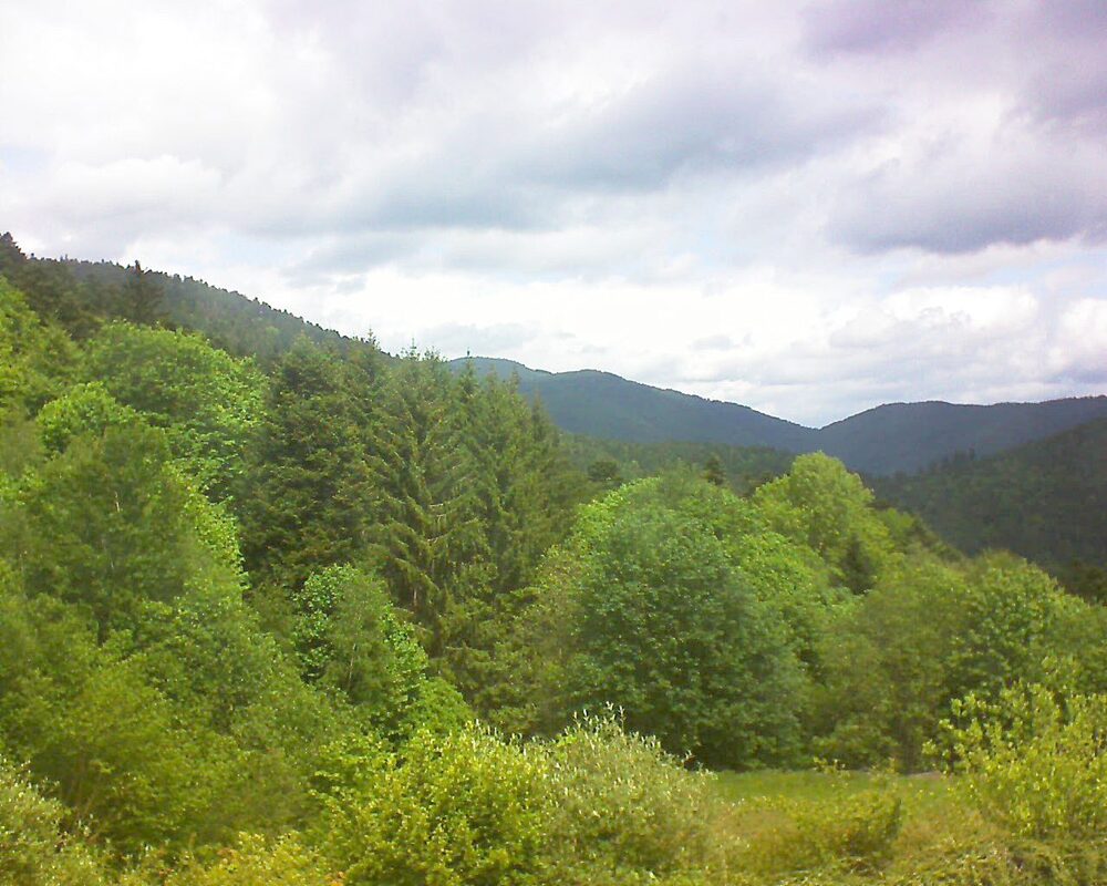 Le petit ballon vu depuis le Domaine Langmatt à Murbach le 13.05.2026 à 12:30 Le petit ballon (Alsace, Vosges) le 13.05.2026 à 12:30