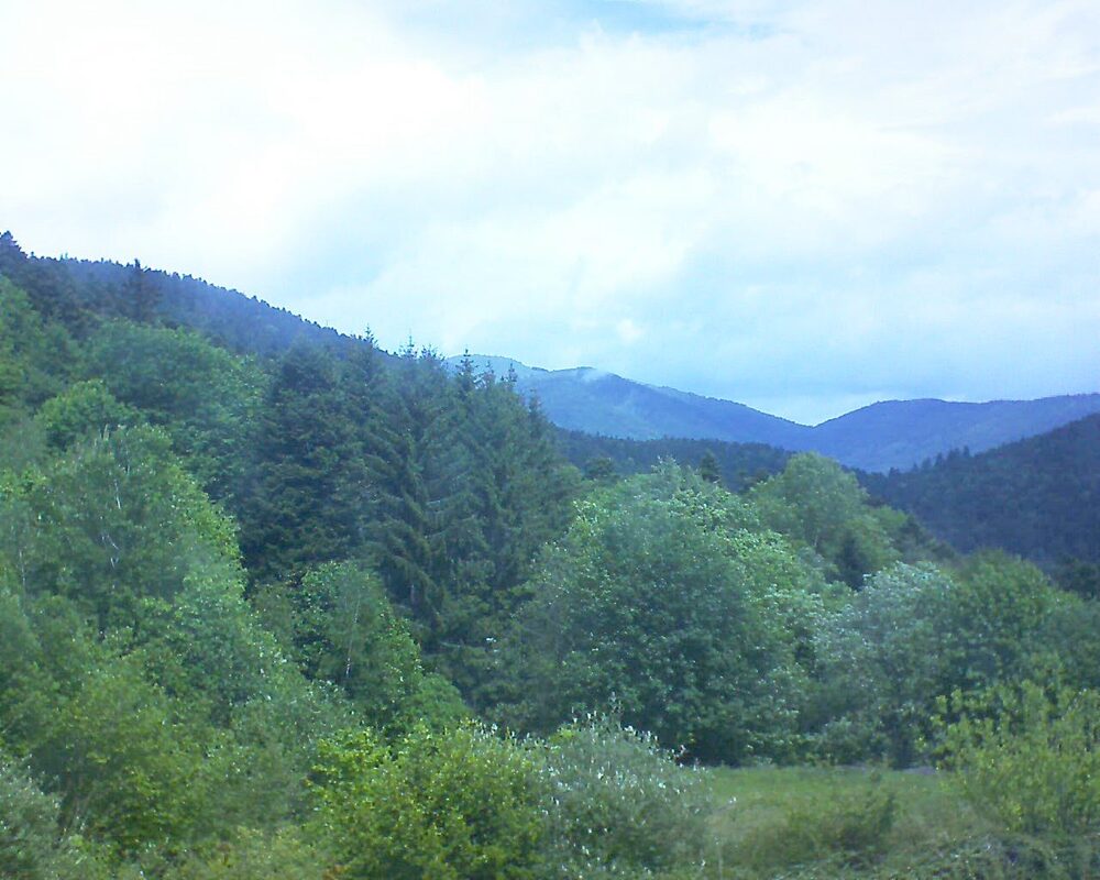 Le petit ballon (Alsace, Vosges) le 14.05.2026 à 12:30