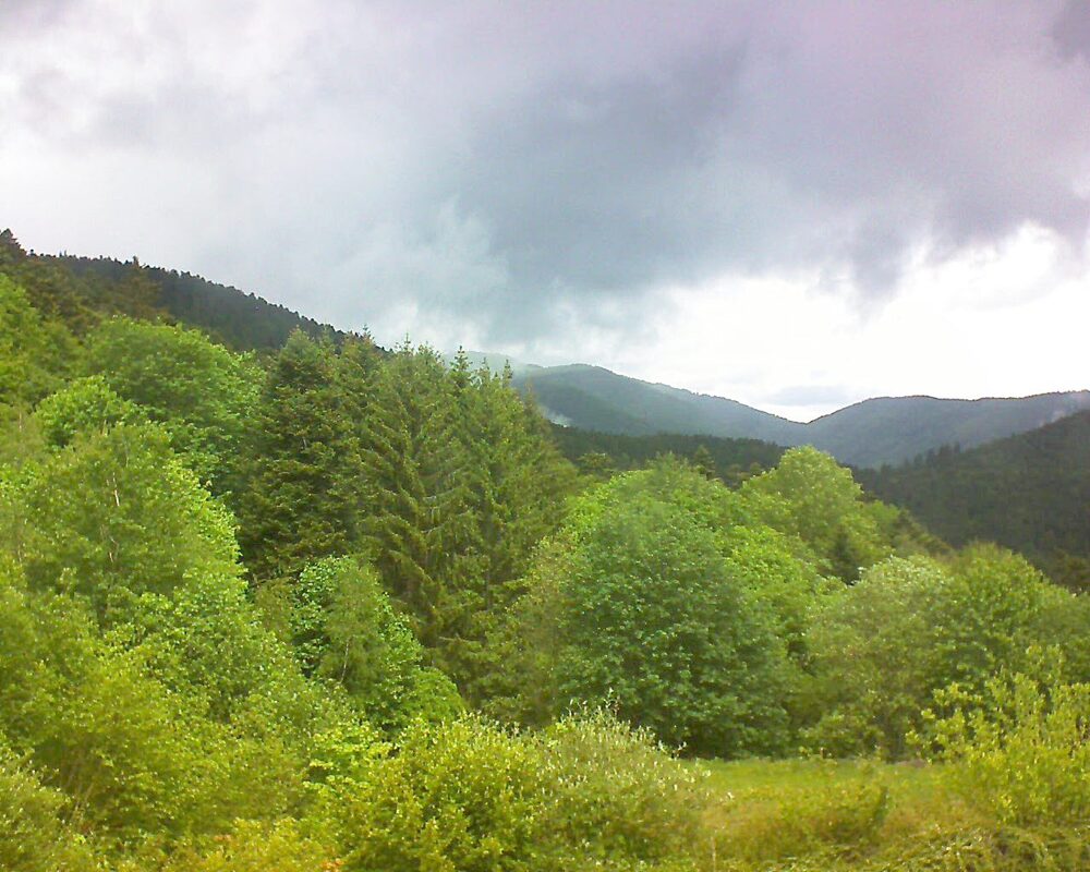Le petit ballon (Alsace, Vosges) le 15.05.2026 à 12:15