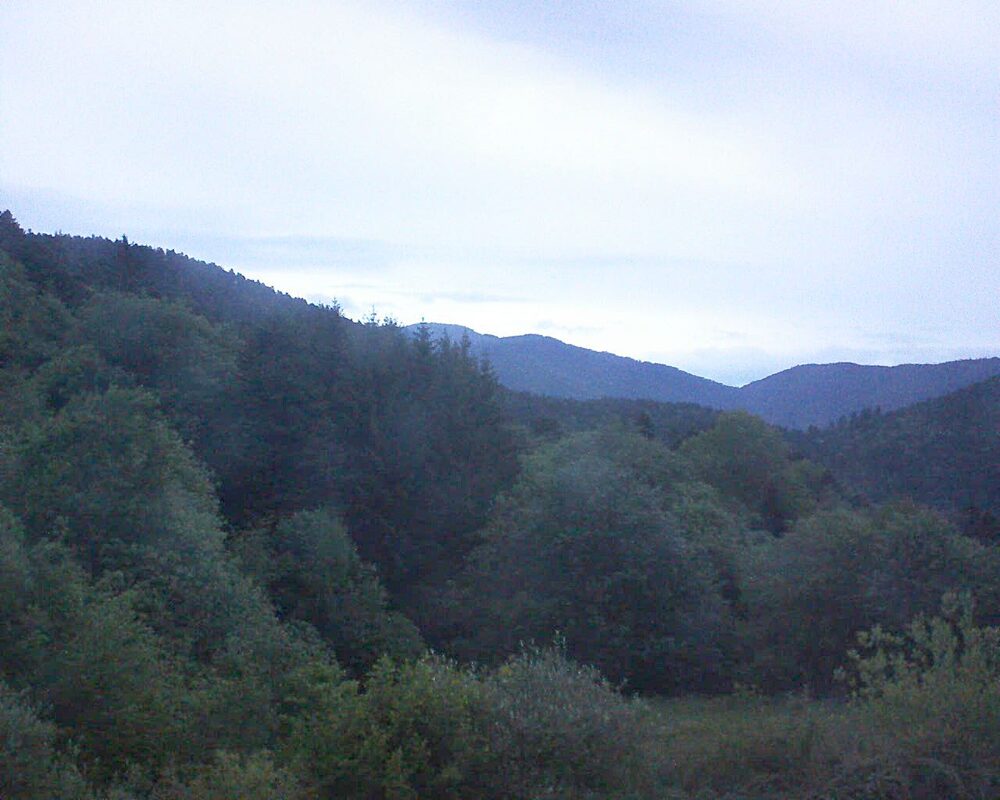 Le petit ballon (Alsace, Vosges) le 16.05.2026 à 05:45