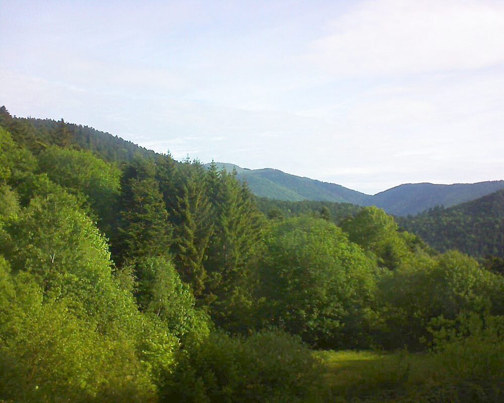 Le petit ballon (Alsace, Vosges) le 19.05.2026 à 08:30