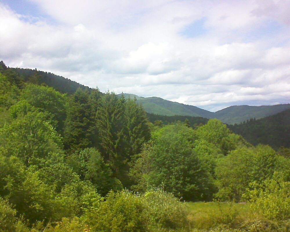 Le petit ballon (Alsace, Vosges) le 19.05.2026 à 15:15