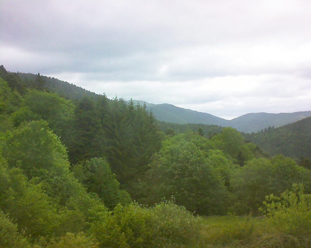 Le petit ballon (Alsace, Vosges) le 20.05.2026 à 12:15