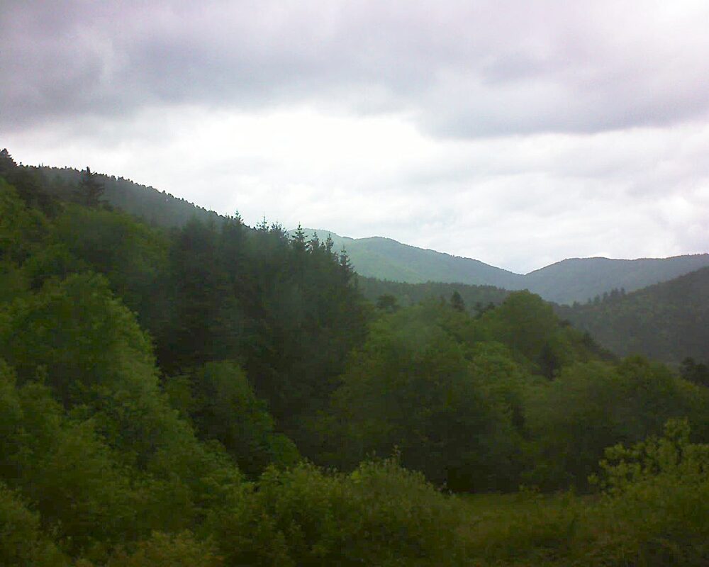 Le petit ballon (Alsace, Vosges) le 20.05.2026 à 15:15