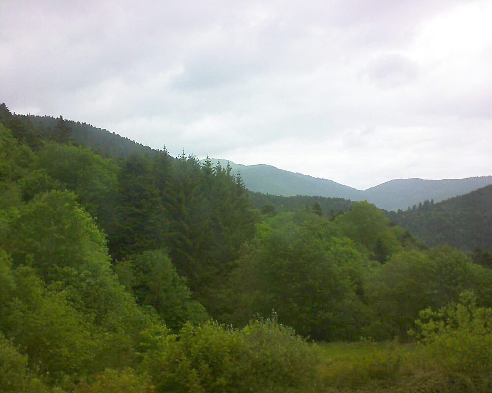 Le petit ballon (Alsace, Vosges) le 20.05.2026 à 16:15