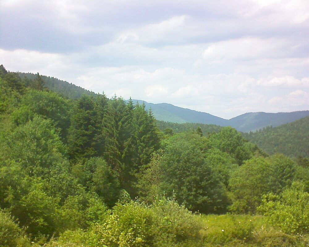 Le petit ballon (Alsace, Vosges) le 27.05.2026 à 15:00