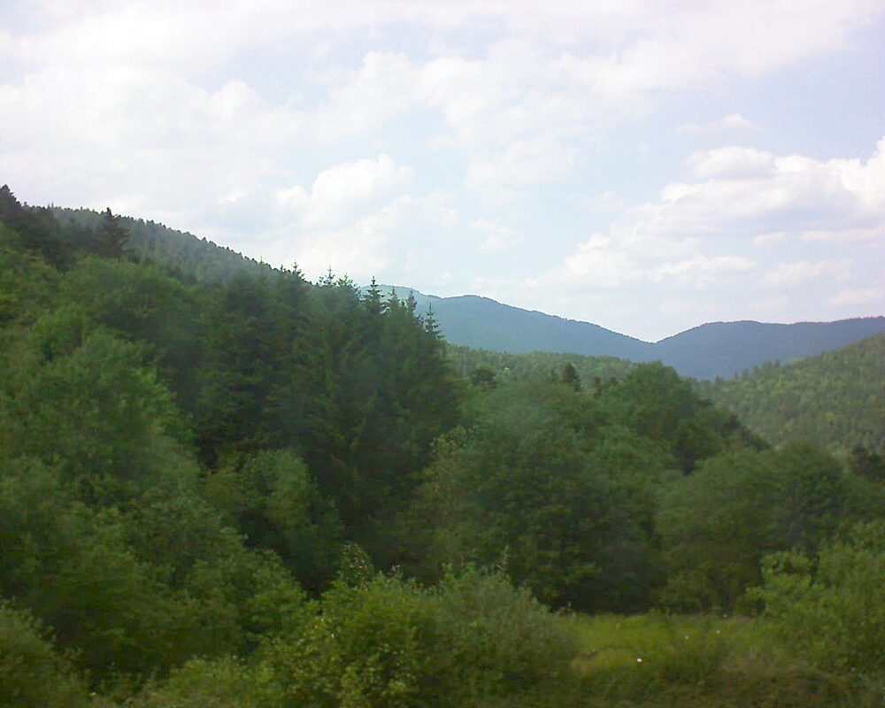 Le petit ballon (Alsace, Vosges) le 27.05.2026 à 16:00