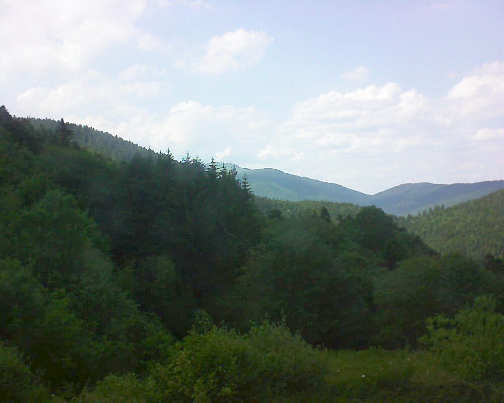 Le petit ballon (Alsace, Vosges) le 27.05.2026 à 16:15