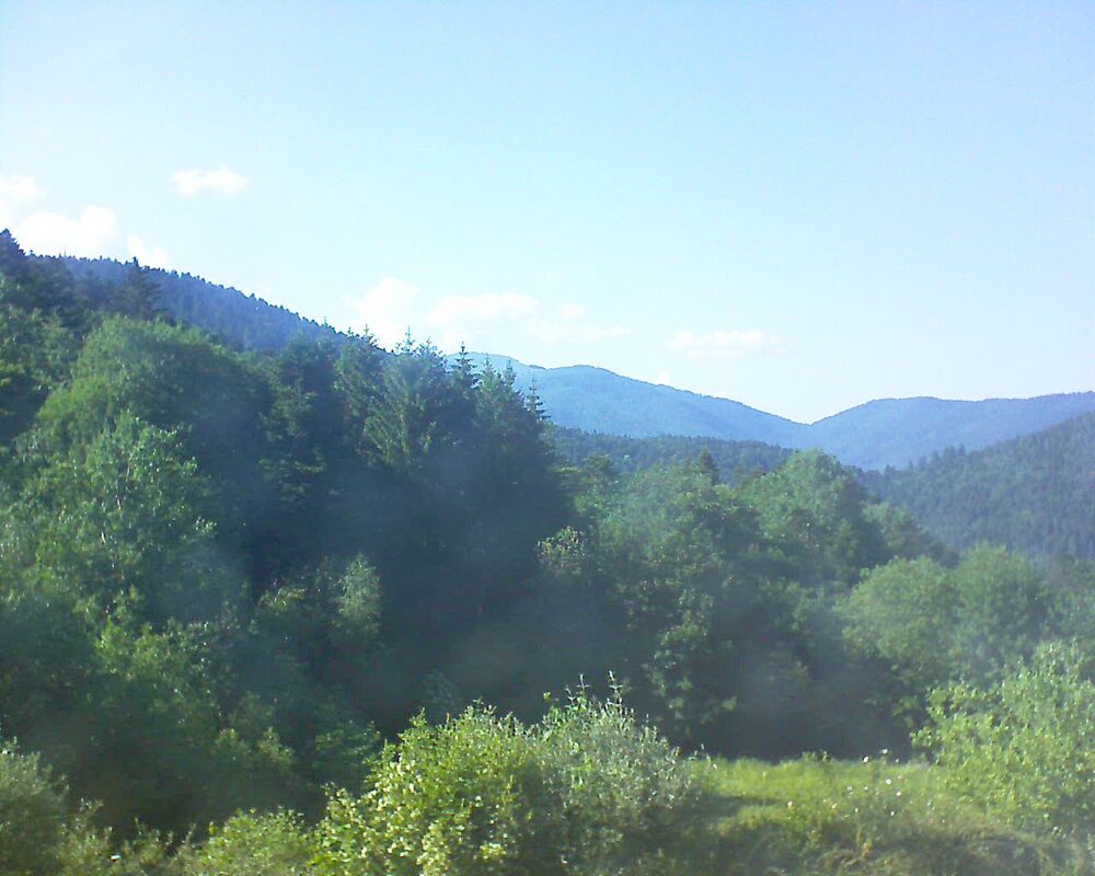 Le petit ballon (Alsace, Vosges) le 28.05.2026 à 17:45