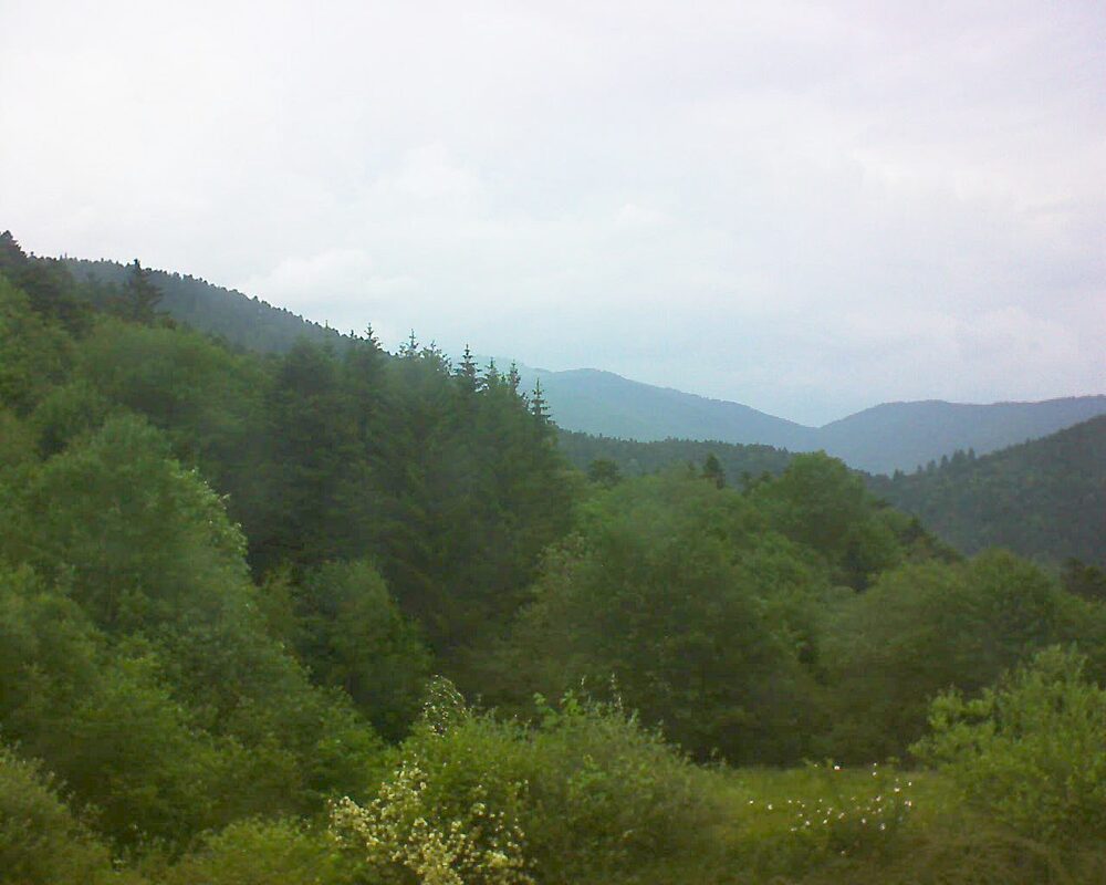 Le petit ballon (Alsace, Vosges) le 31.05.2026 à 16:15