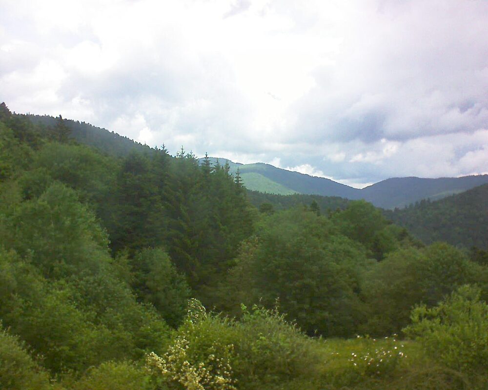Le petit ballon (Alsace, Vosges) le 01.06.2026 à 12:30