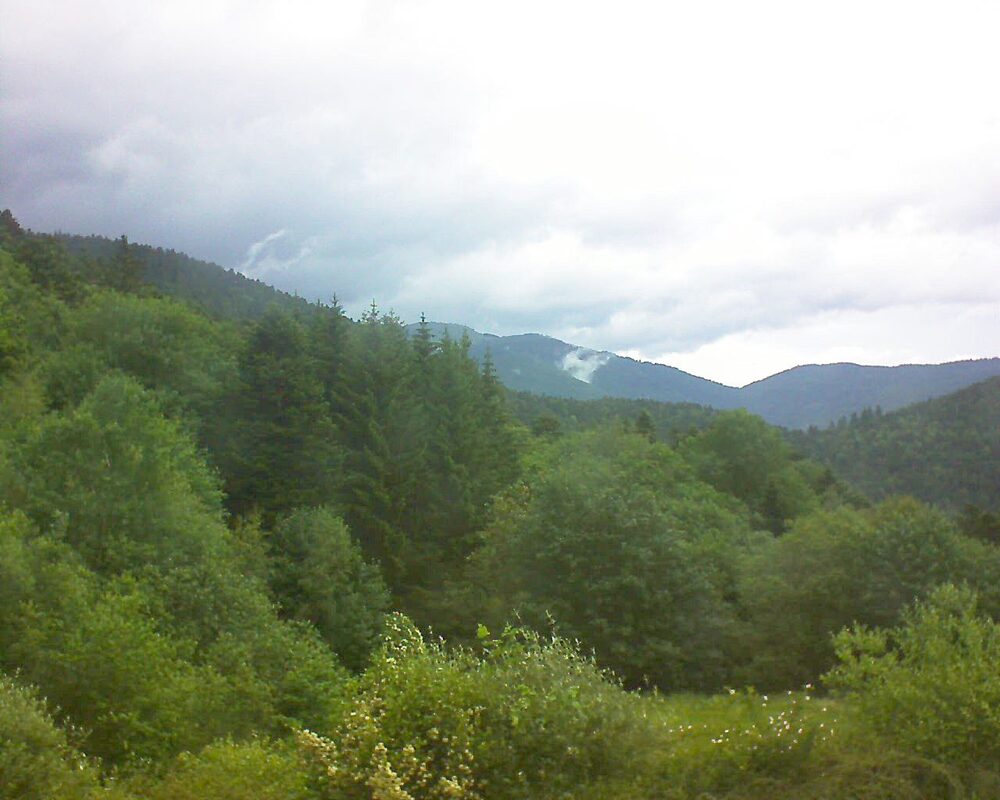 Le petit ballon (Alsace, Vosges) le 02.06.2026 à 15:15