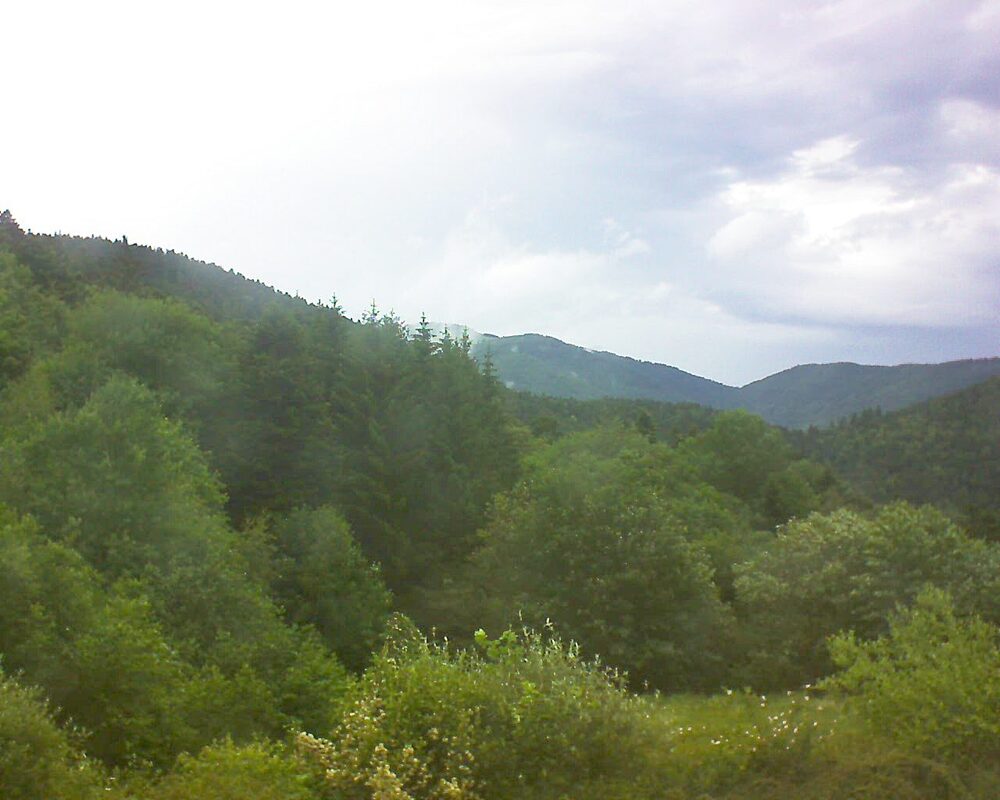 Le petit ballon vu depuis le Domaine Langmatt à Murbach le 02.06.2026 à 16:15 Le petit ballon (Alsace, Vosges) le 02.06.2026 à 16:15