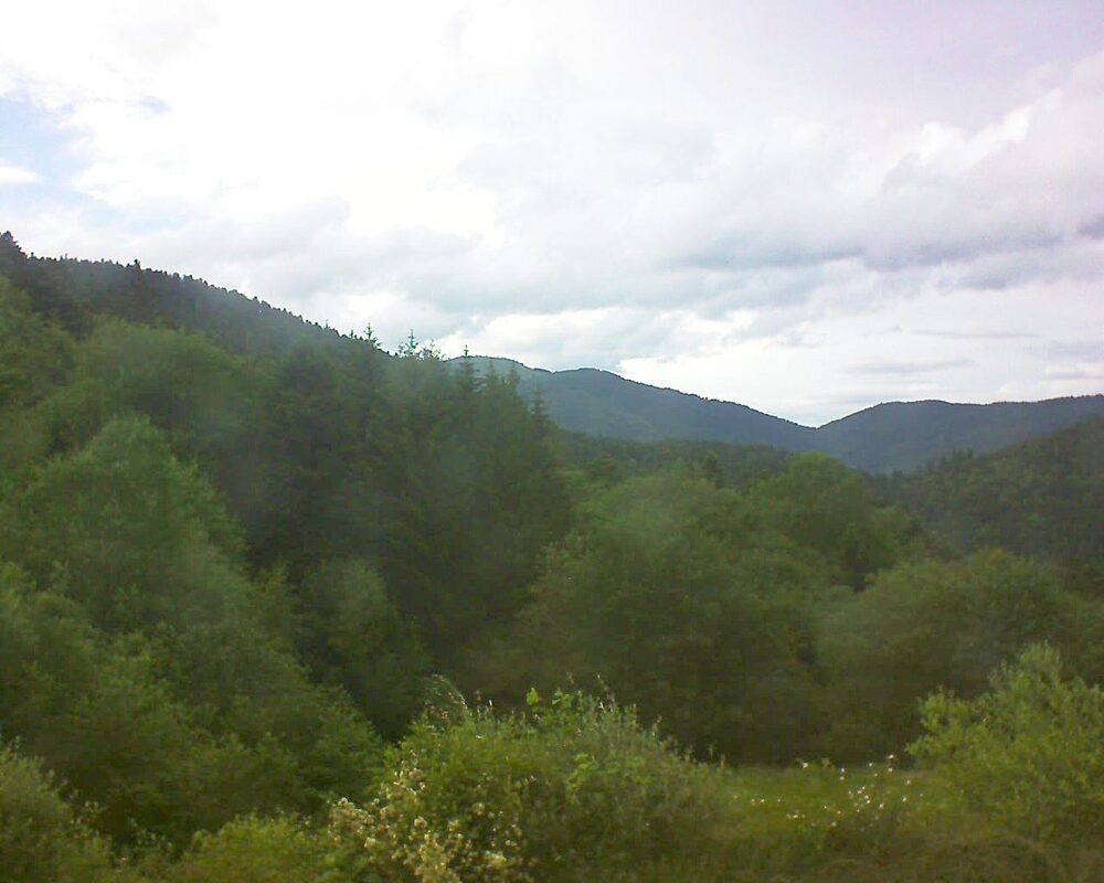 Le petit ballon (Alsace, Vosges) le 02.06.2026 à 18:45