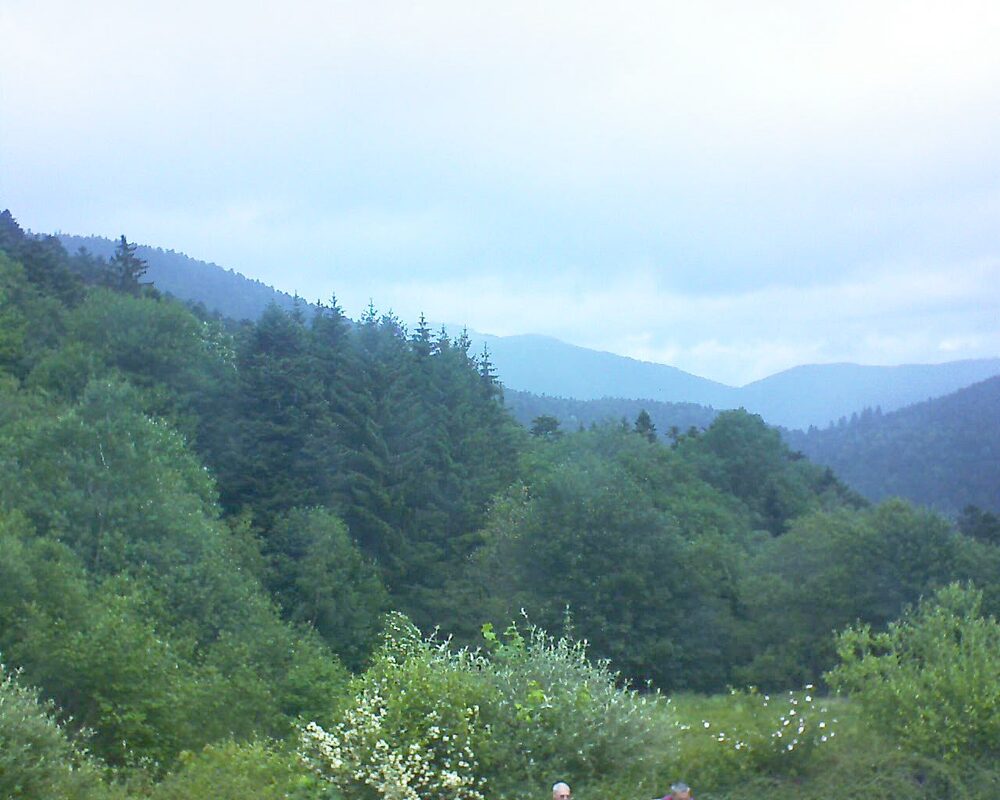 Le petit ballon (Alsace, Vosges) le 03.06.2026 à 13:15
