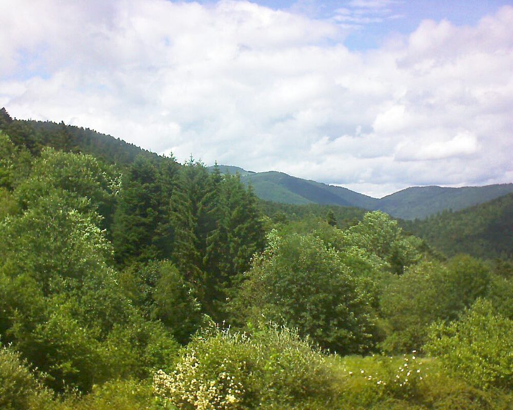 Le petit ballon vu depuis le Domaine Langmatt à Murbach le 03.06.2026 à 15:00 Le petit ballon (Alsace, Vosges) le 03.06.2026 à 15:00