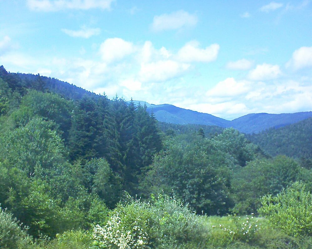 Le petit ballon (Alsace, Vosges) le 03.06.2026 à 15:15