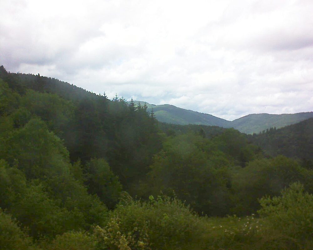 Le petit ballon (Alsace, Vosges) le 03.06.2026 à 16:00
