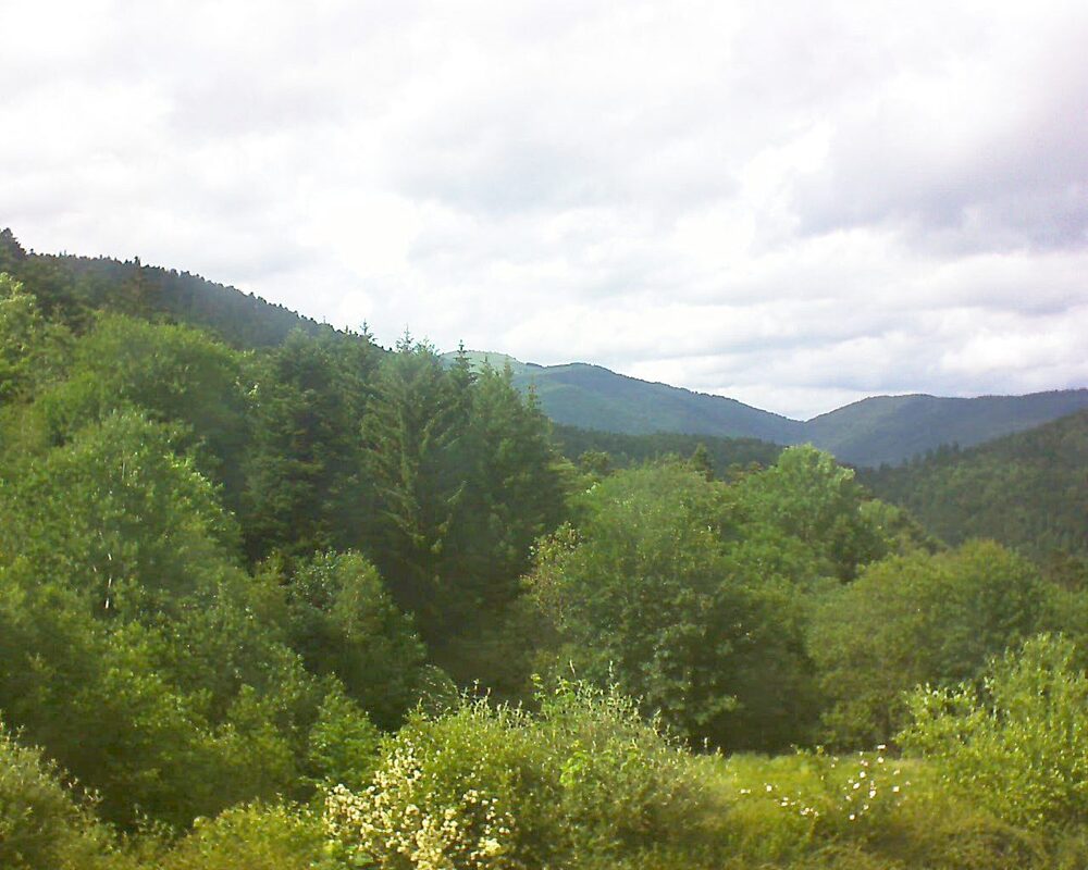 Le petit ballon vu depuis le Domaine Langmatt à Murbach le 03.06.2026 à 16:15 Le petit ballon (Alsace, Vosges) le 03.06.2026 à 16:15