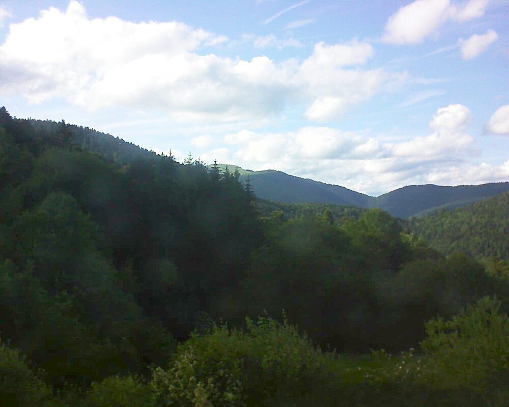 Le petit ballon (Alsace, Vosges) le 03.06.2026 à 18:45