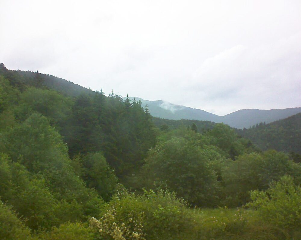 Le petit ballon (Alsace, Vosges) le 04.06.2026 à 19:15