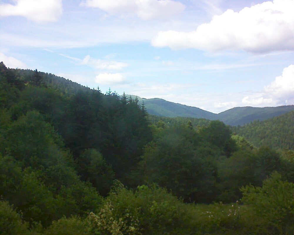 Le petit ballon (Alsace, Vosges) le 05.06.2026 à 16:30