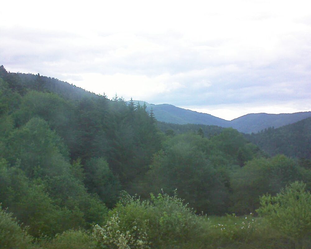 Le petit ballon (Alsace, Vosges) le 05.06.2026 à 19:15