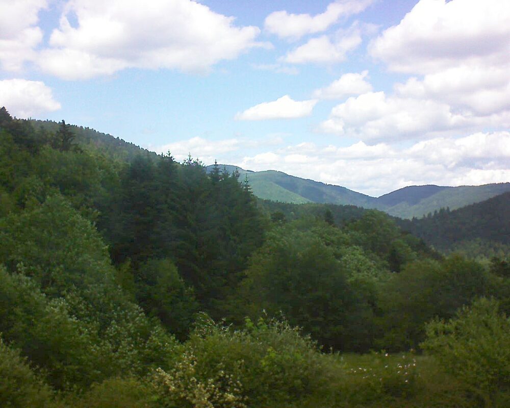 Le petit ballon (Alsace, Vosges) le 06.06.2026 à 13:15