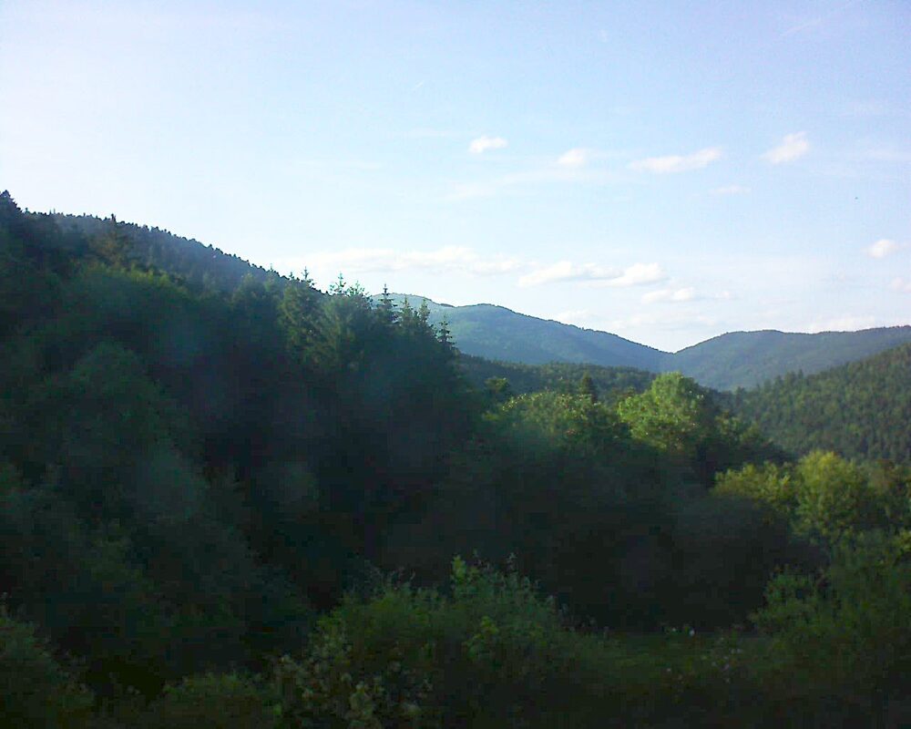 Le petit ballon (Alsace, Vosges) le 07.06.2026 à 19:00