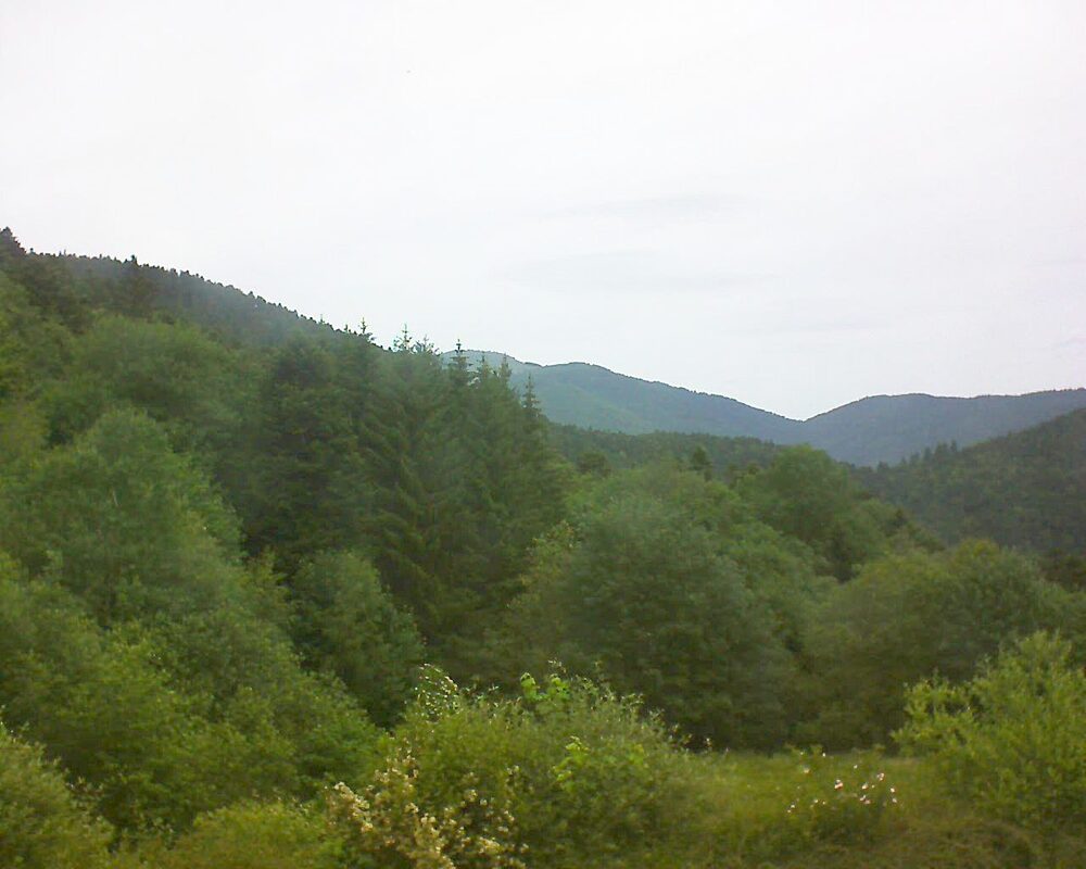 Le petit ballon vu depuis le Domaine Langmatt à Murbach le 08.06.2026 à 12:30 Le petit ballon (Alsace, Vosges) le 08.06.2026 à 12:30