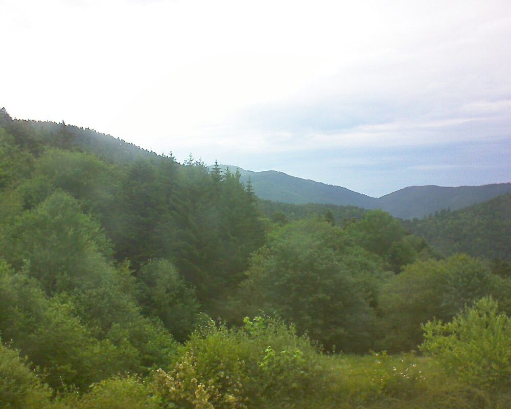Le petit ballon vu depuis le Domaine Langmatt à Murbach le 08.06.2026 à 19:00 Le petit ballon (Alsace, Vosges) le 08.06.2026 à 19:00